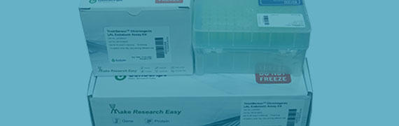 ToxinSensor显色法LAL内毒素检测试剂盒（L00350C）
