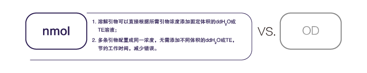 3C引物 3C引物