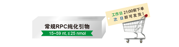 3C引物 3C引物