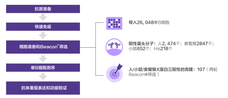 Beacon® Single B Cell Screening Platform case