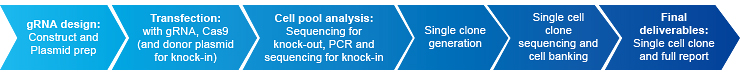 GenCRISPR™ Workflow GenCRISPR™ Workflow