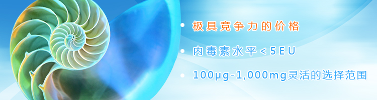 质粒DNA制备 质粒DNA制备