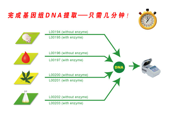 基因组DNA提取及多重PCR试剂盒选择指南