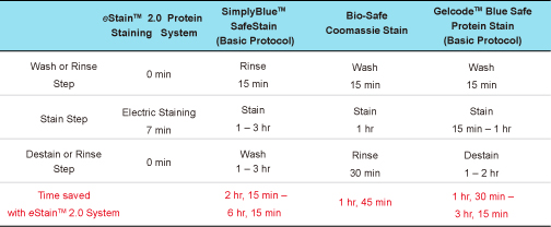 protein staining