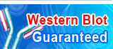 antibody promotion
