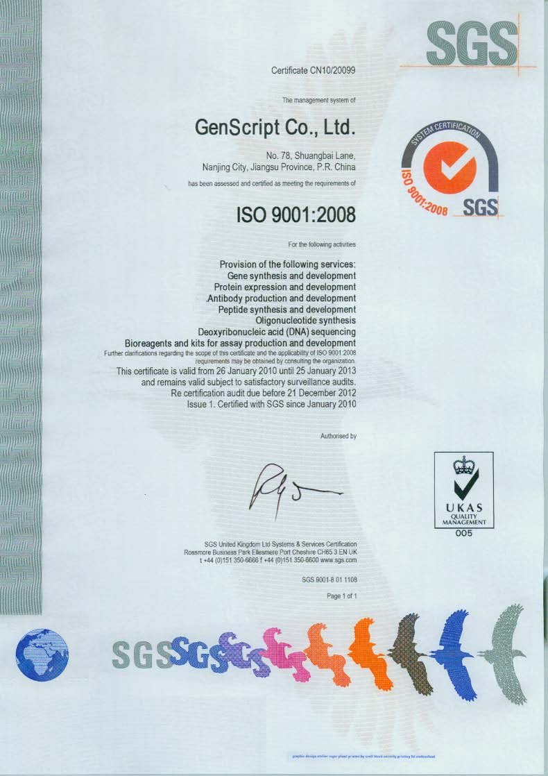 金斯瑞ISO9001:2008英文证书 金斯瑞ISO9001:2008英文证书