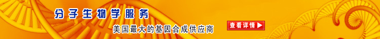 分子生物学服务