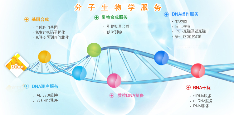 分子生物学服务