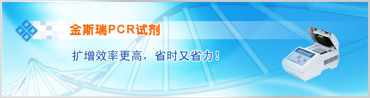 金斯瑞PCR试剂