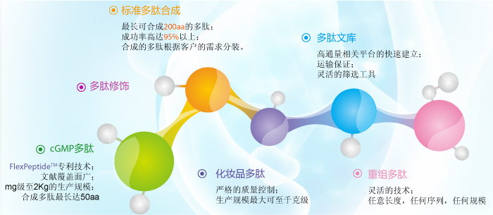 多肽序列设计,化学多肽合成,多肽修饰,多肽纯化