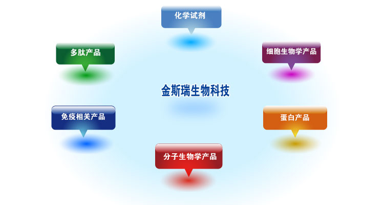 金斯瑞产品