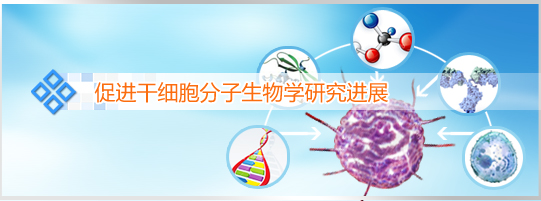 stem cell research