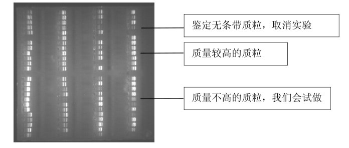 DNA测序