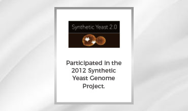 2012 Synthetic Yeast Genome Project