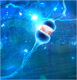 生命科学研究业务