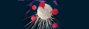 BiTes and Car-T之后，T细胞免疫疗法新突破！