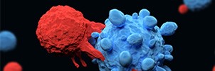 新型CAR-T将蝎毒添加到解决肿瘤异质性中，可有效对抗肿瘤