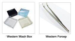 western blot forceps, wash box, dot blot box
