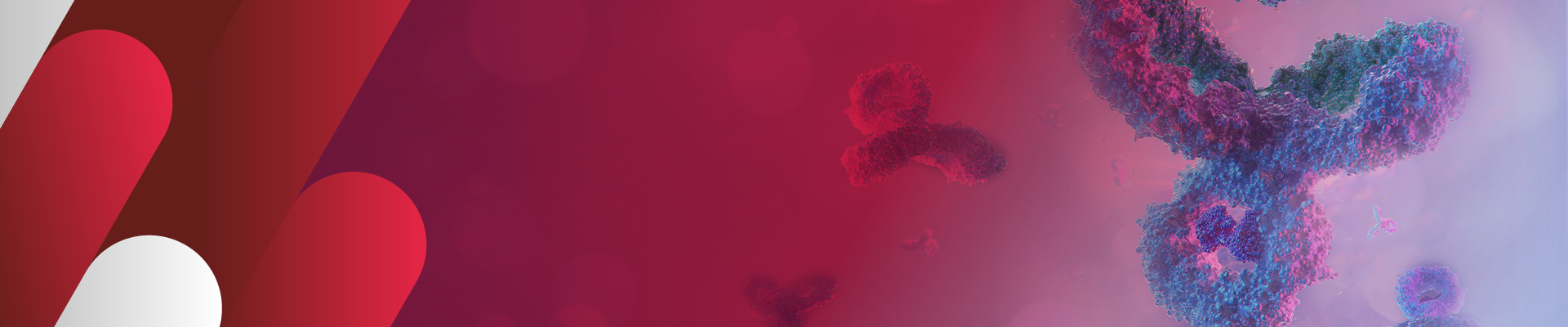 小鼠抗His tag单抗