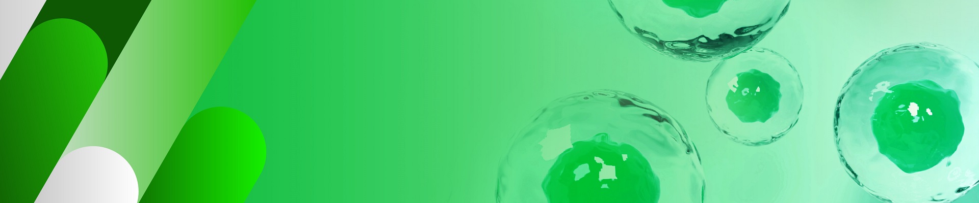 金斯瑞纳米磁珠定制化平台