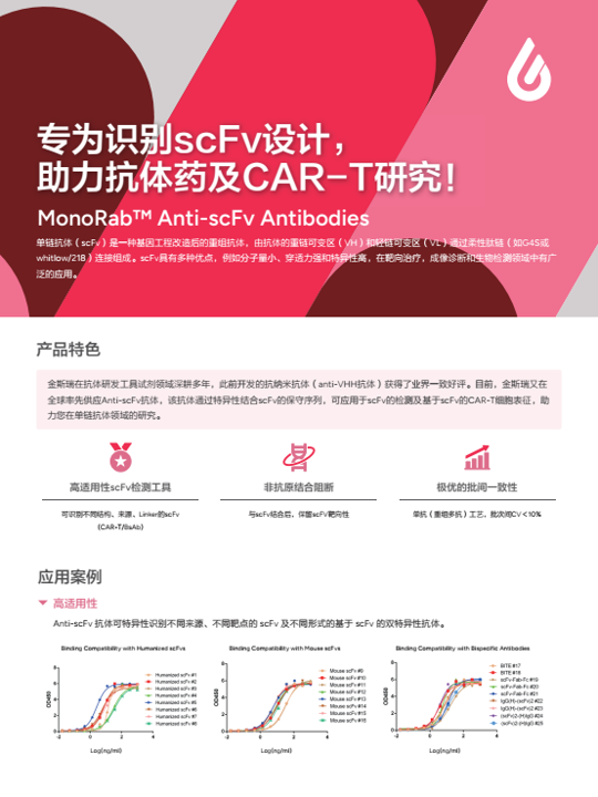 Anti-scFv 抗体 /Anti-VHH 抗体
