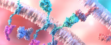 Gene Analysis