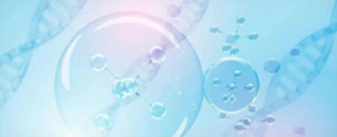 Cell Based Assays
