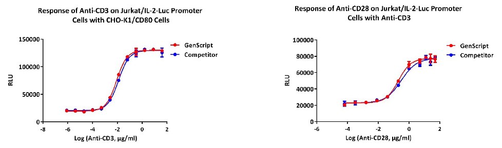 Anti-Human CD3 and Anti-Human CD28 Antibodies for Studying Signal Response in Reporter Cell Lines