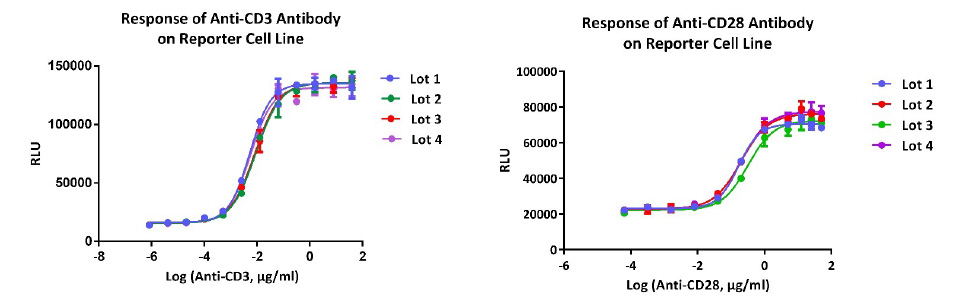 Lot-to-lot consistency was tested using four batches of Anti-Human CD3 Antibody