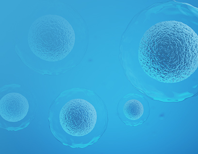 CytoSinct™ 纳米级分选磁珠