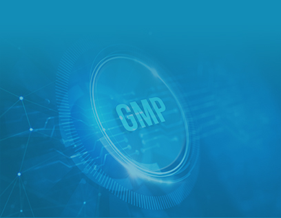 GMP级磁珠