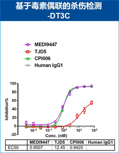 CHO-K1/CD73(货号: RD00783）细胞上内化以及杀伤评估