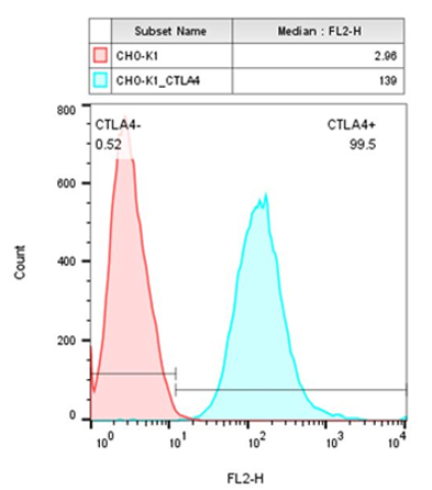 CHO-K1/CTLA4 (货号: M00530）细胞上CTLA4的FACS 分析