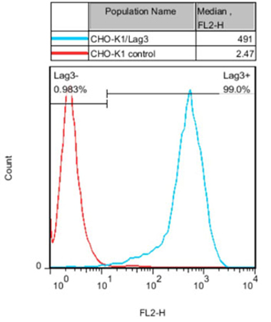 CHO-K1/Lag3(货号: M00532）细胞上Lag3的FACS 分析