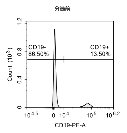 （A）分选前CD19+细胞比例