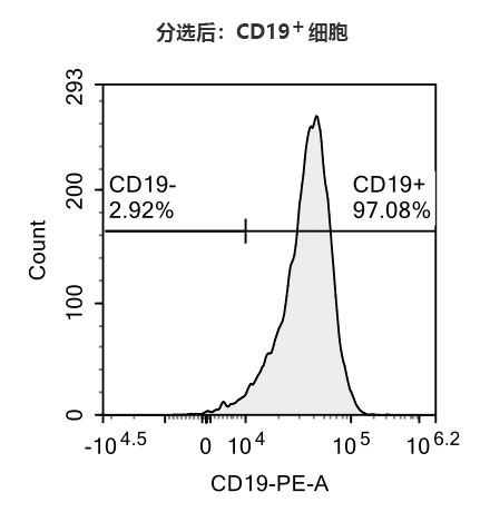 （B）分选后CD19+ 细胞比例