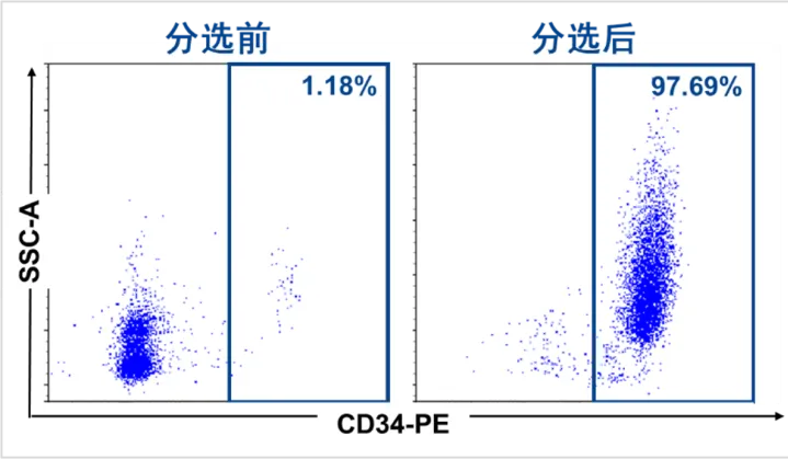 使用金斯瑞CytoSinct™ CD34分选磁珠对起始样本进行分选，经过流式CD34检测，结果表明金斯瑞CytoSinct™ CD34磁珠效果与竞品相当。