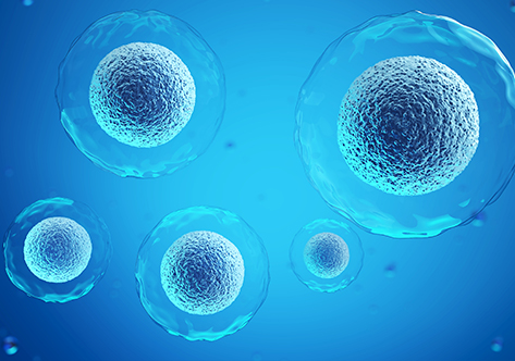 CytoSinct™ 细胞分选磁珠