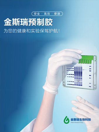 金斯瑞预制胶