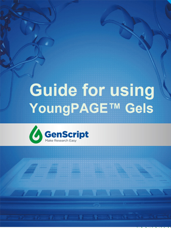 youngpage-quickguide
