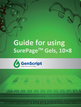 surepage-quickguide