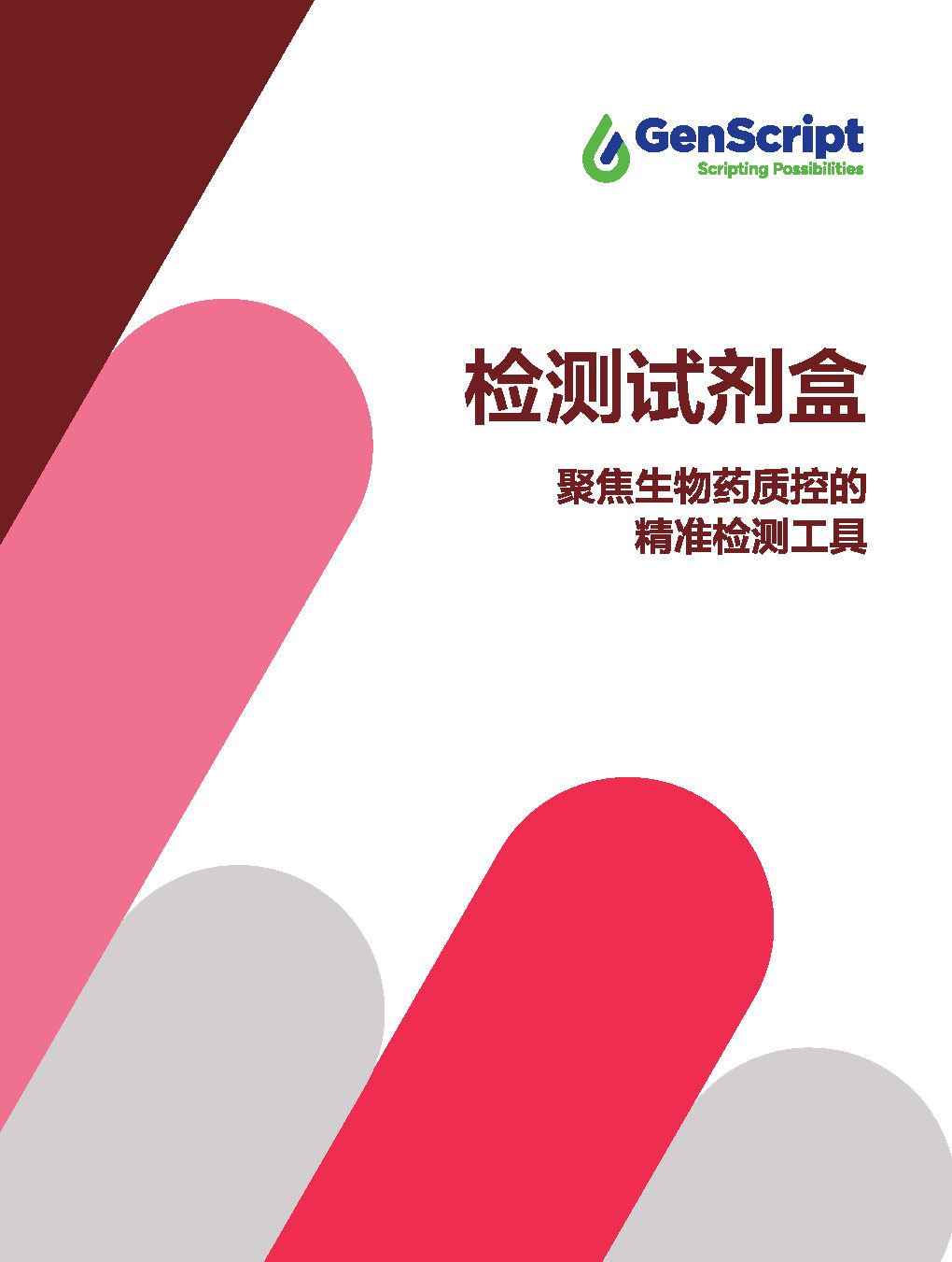 检测试剂盒