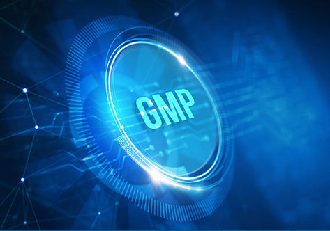 GMP级别分选和激活