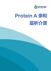 Protein A 亲和层析介质