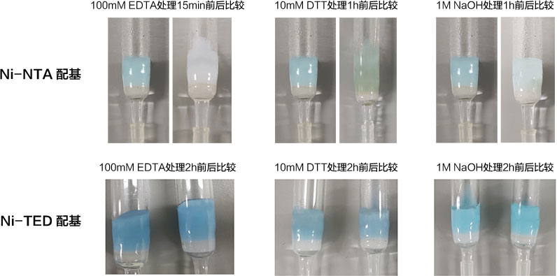 Ni-NTA和Ni-TED耐受化学试剂的对比实验
