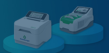 eBlot™快速湿转仪