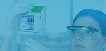 Surepage™ 蛋白预制胶