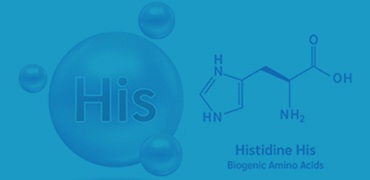 His标签蛋白纯化产品