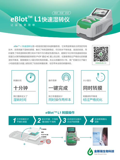 eBlot™ L1快速湿转仪