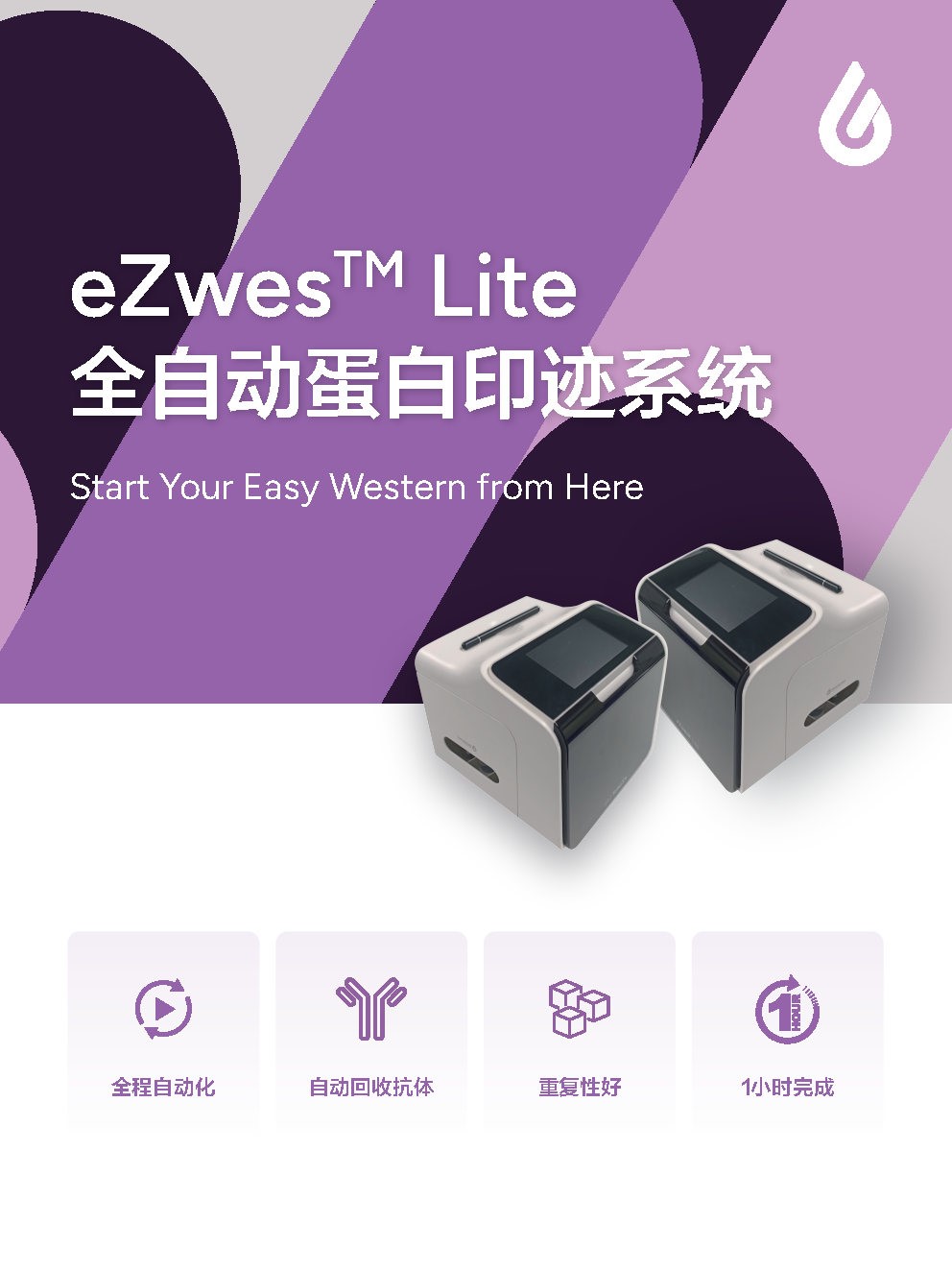 eZwest™ Lite全自动蛋白印记系统
